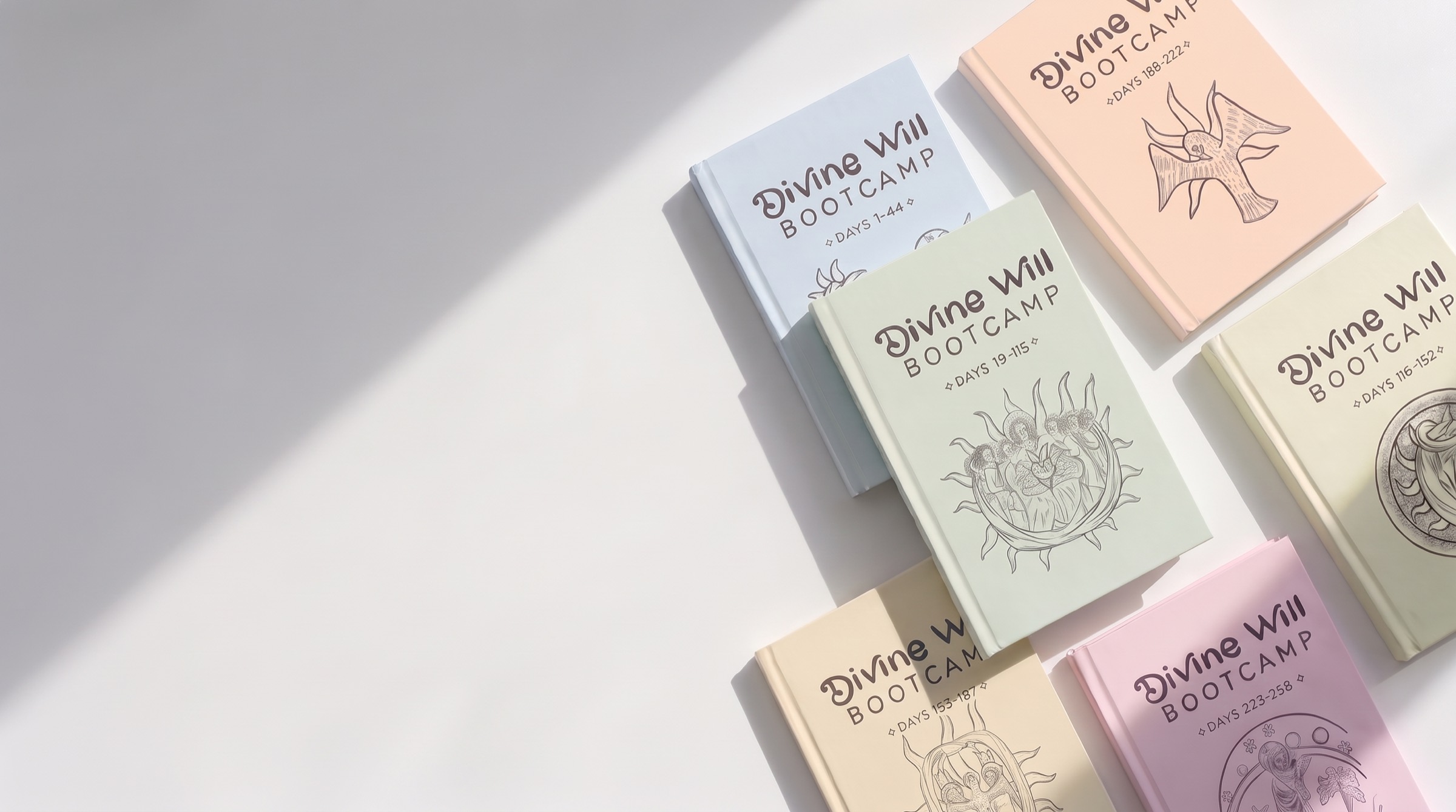 The Divine Will Bootcamp books in pastel covers on white linen